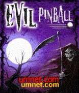 game pic for Evil Pinball  SE K300